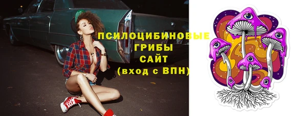 твердый Абинск