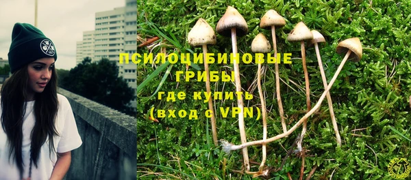 твердый Абинск